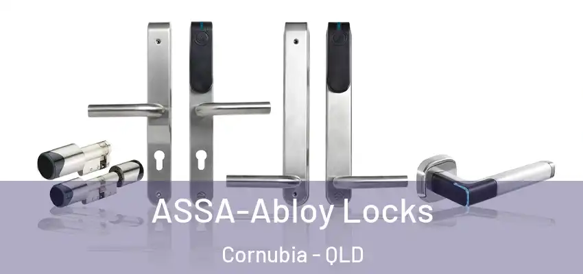 ASSA-Abloy Locks Cornubia - QLD