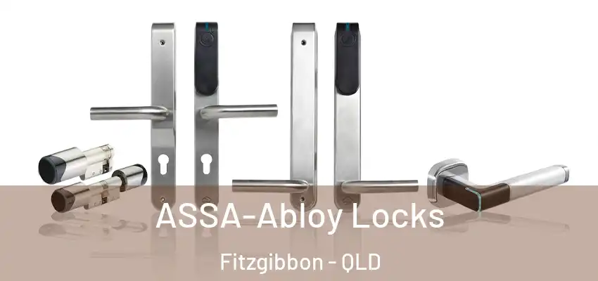 ASSA-Abloy Locks Fitzgibbon - QLD