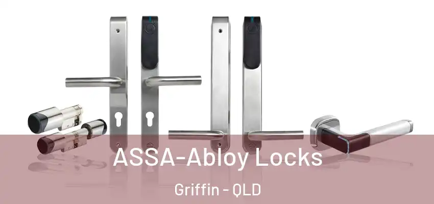  ASSA-Abloy Locks Griffin - QLD