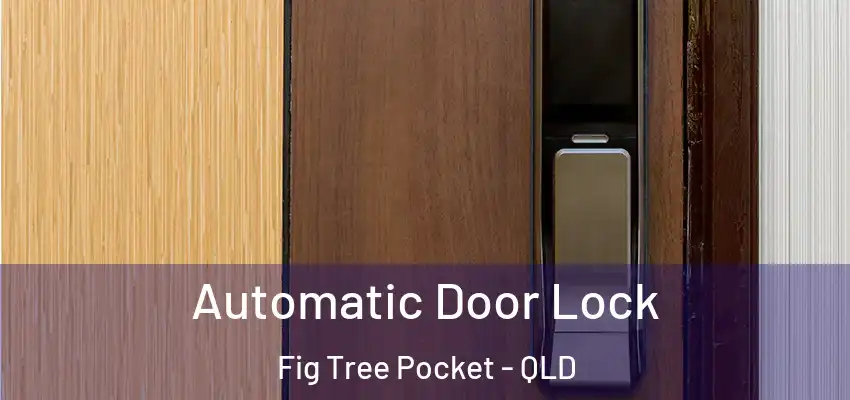 Automatic Door Lock Fig Tree Pocket - QLD
