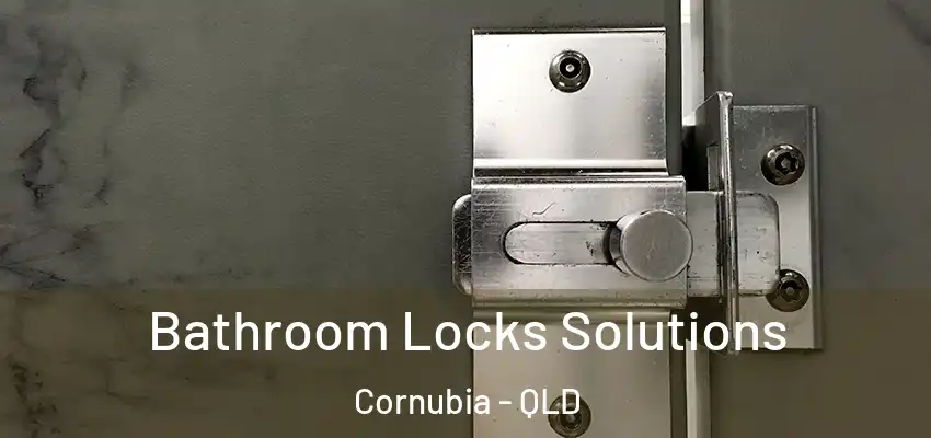 Bathroom Locks Solutions Cornubia - QLD