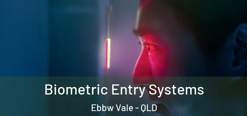 Biometric Entry Systems Ebbw Vale - QLD
