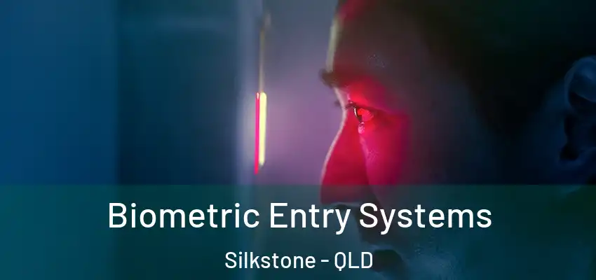  Biometric Entry Systems Silkstone - QLD