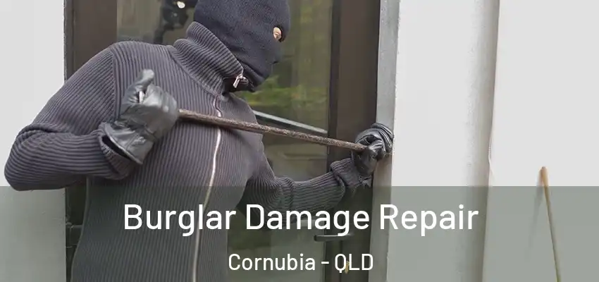 Burglar Damage Repair Cornubia - QLD