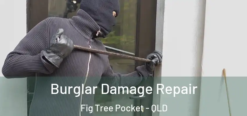 Burglar Damage Repair Fig Tree Pocket - QLD