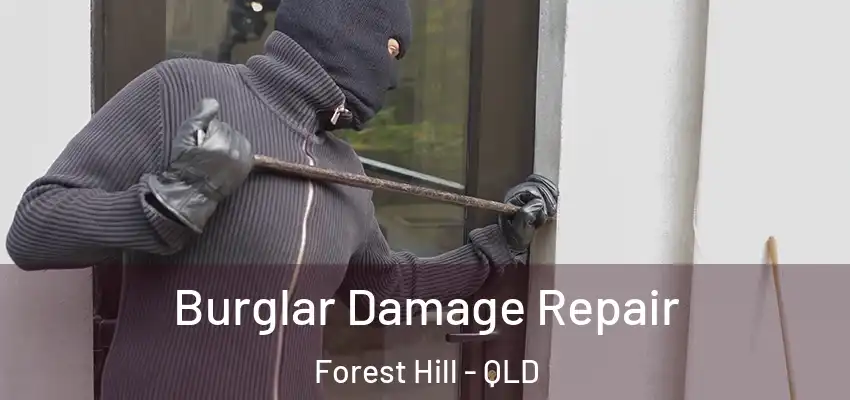 Burglar Damage Repair Forest Hill - QLD