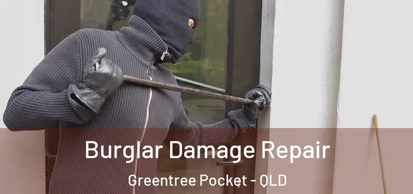  Burglar Damage Repair Greentree Pocket - QLD