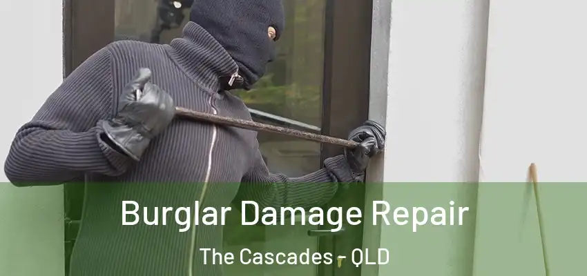  Burglar Damage Repair The Cascades - QLD