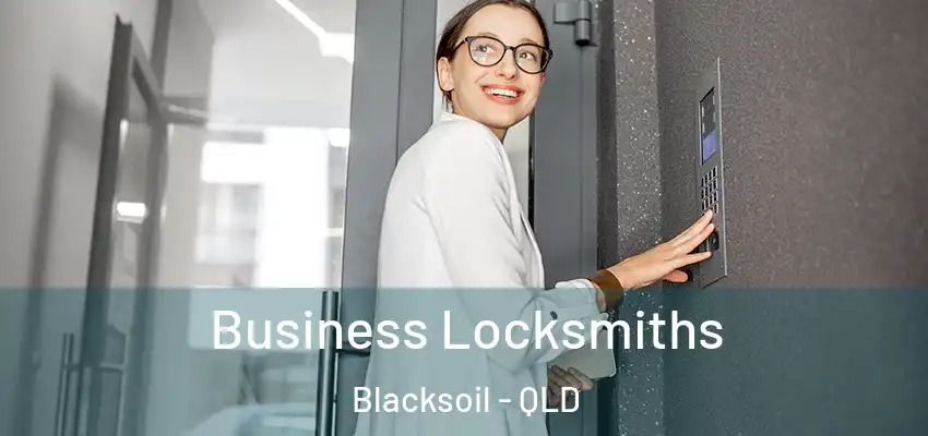  Business Locksmiths Blacksoil - QLD