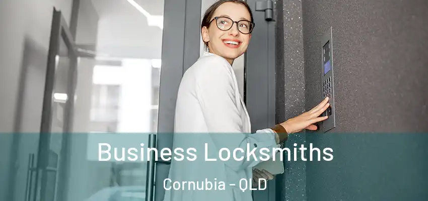 Business Locksmiths Cornubia - QLD