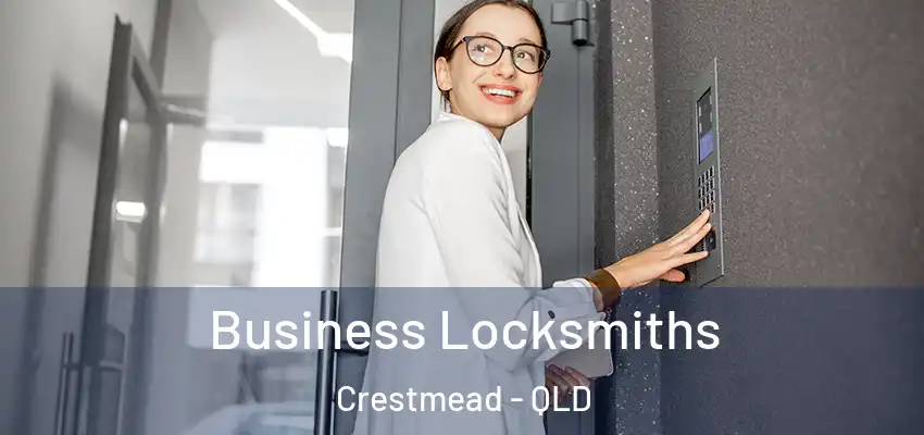 Business Locksmiths Crestmead - QLD