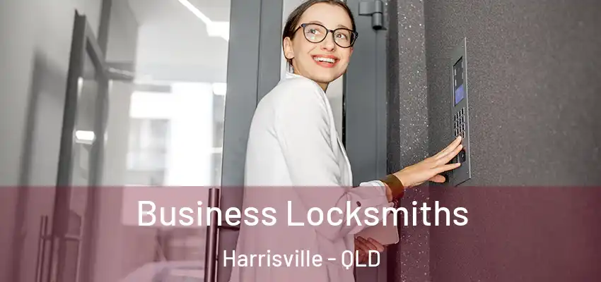 Business Locksmiths Harrisville - QLD