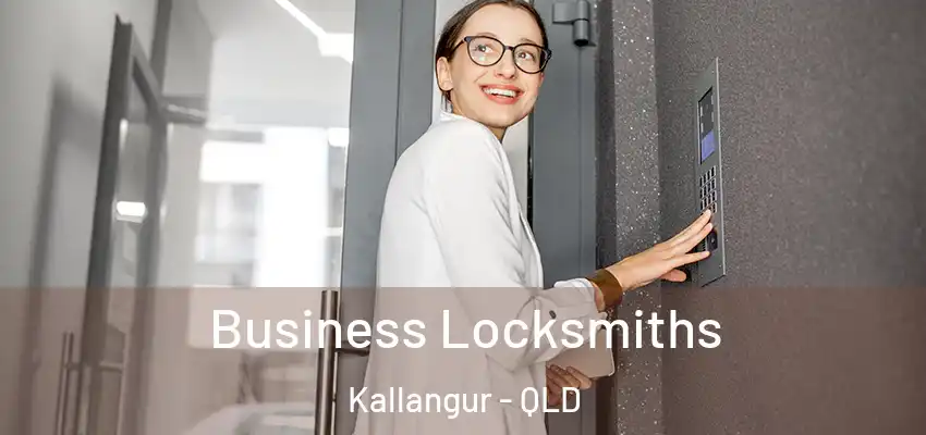  Business Locksmiths Kallangur - QLD