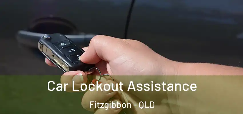 Car Lockout Assistance Fitzgibbon - QLD