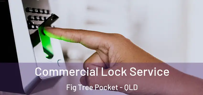 Commercial Lock Service Fig Tree Pocket - QLD