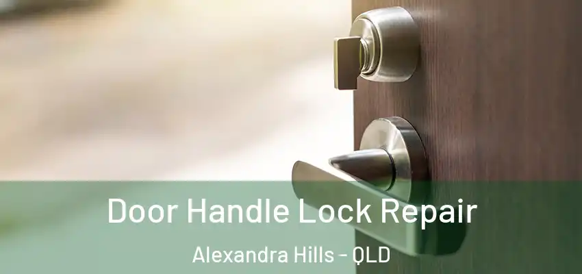 Door Handle Lock Repair Alexandra Hills - QLD