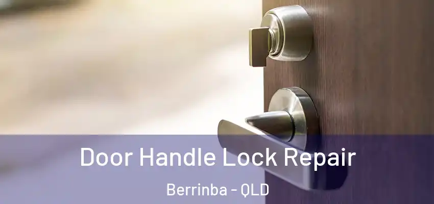 Door Handle Lock Repair Berrinba - QLD