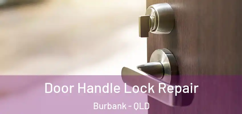 Door Handle Lock Repair Burbank - QLD