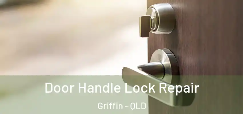 Door Handle Lock Repair Griffin - QLD