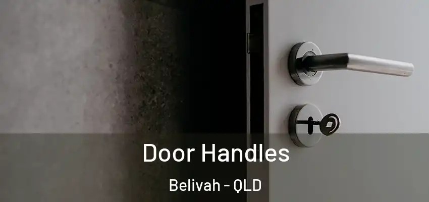 Door Handles Belivah - QLD