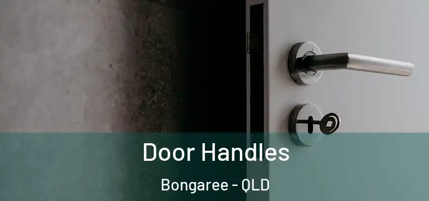Door Handles Bongaree - QLD