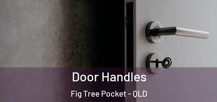 Door Handles Fig Tree Pocket - QLD