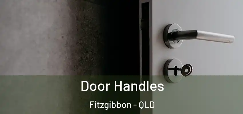 Door Handles Fitzgibbon - QLD
