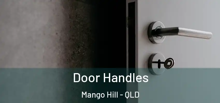  Door Handles Mango Hill - QLD