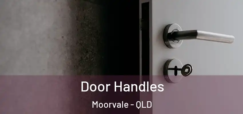  Door Handles Moorvale - QLD