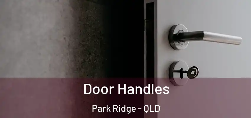  Door Handles Park Ridge - QLD