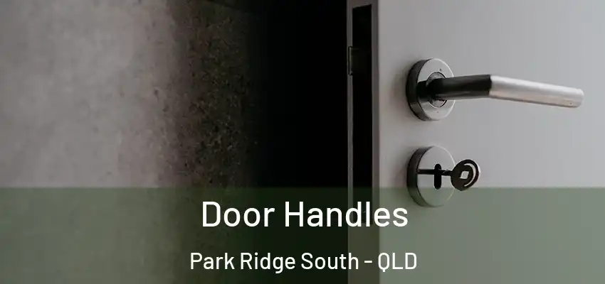  Door Handles Park Ridge South - QLD