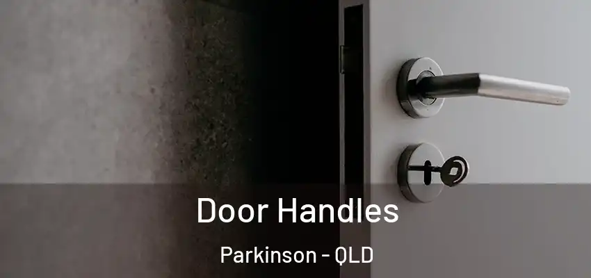  Door Handles Parkinson - QLD