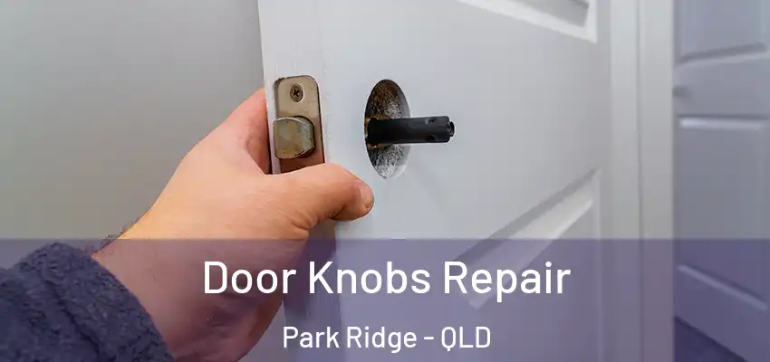  Door Knobs Repair Park Ridge - QLD