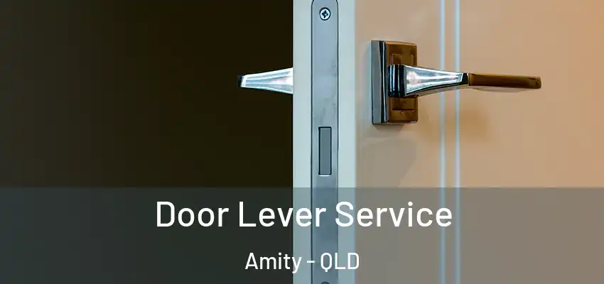 Door Lever Service Amity - QLD