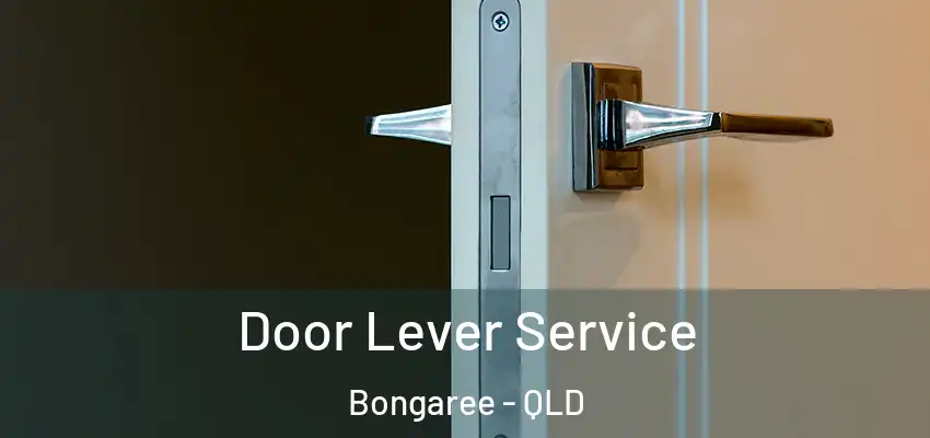 Door Lever Service Bongaree - QLD