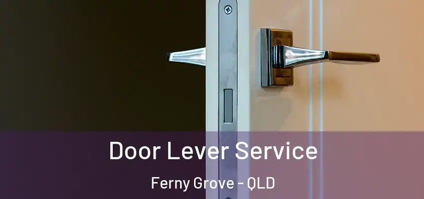 Door Lever Service Ferny Grove - QLD