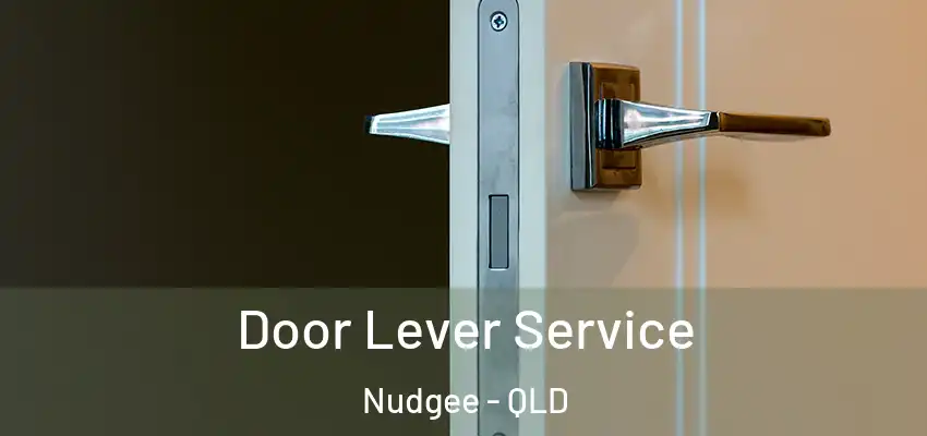  Door Lever Service Nudgee - QLD