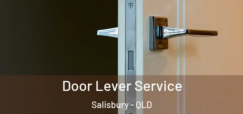  Door Lever Service Salisbury - QLD