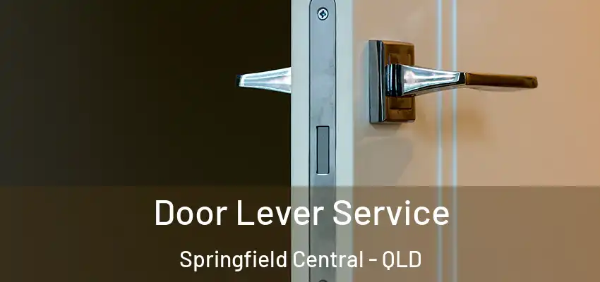  Door Lever Service Springfield Central - QLD