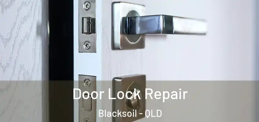 Door Lock Repair Blacksoil - QLD