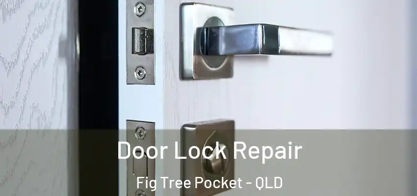 Door Lock Repair Fig Tree Pocket - QLD