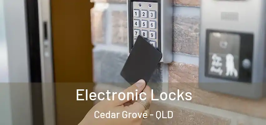 Electronic Locks Cedar Grove - QLD