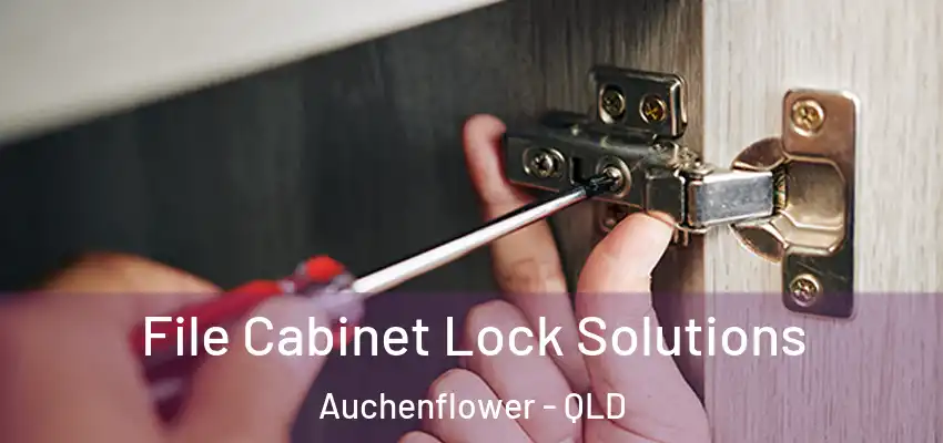 File Cabinet Lock Solutions Auchenflower - QLD