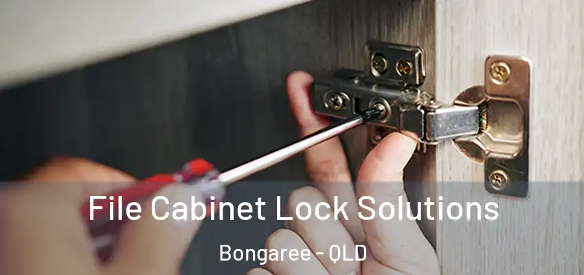  File Cabinet Lock Solutions Bongaree - QLD