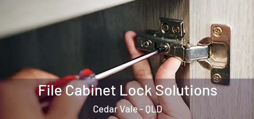 File Cabinet Lock Solutions Cedar Vale - QLD