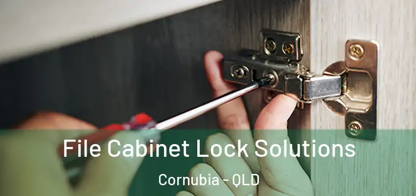 File Cabinet Lock Solutions Cornubia - QLD