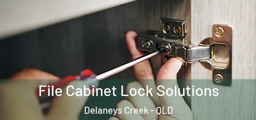 File Cabinet Lock Solutions Delaneys Creek - QLD