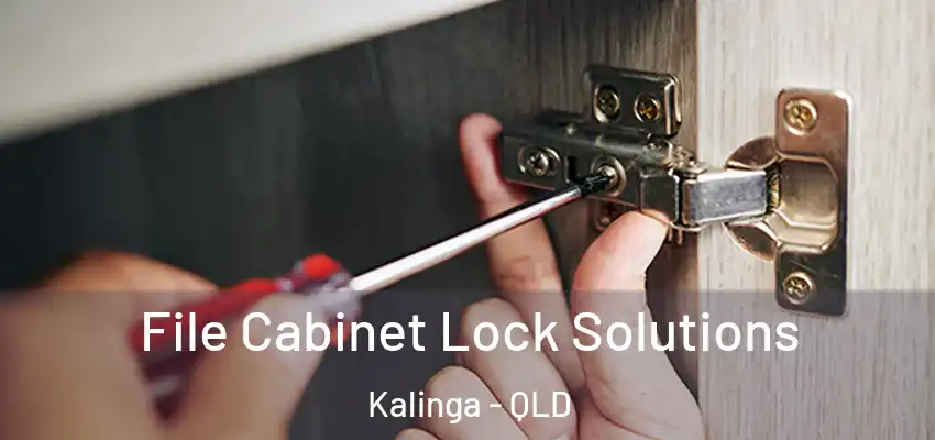 File Cabinet Lock Solutions Kalinga - QLD