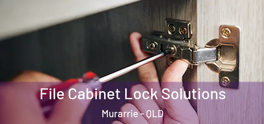  File Cabinet Lock Solutions Murarrie - QLD