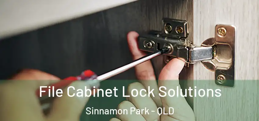  File Cabinet Lock Solutions Sinnamon Park - QLD